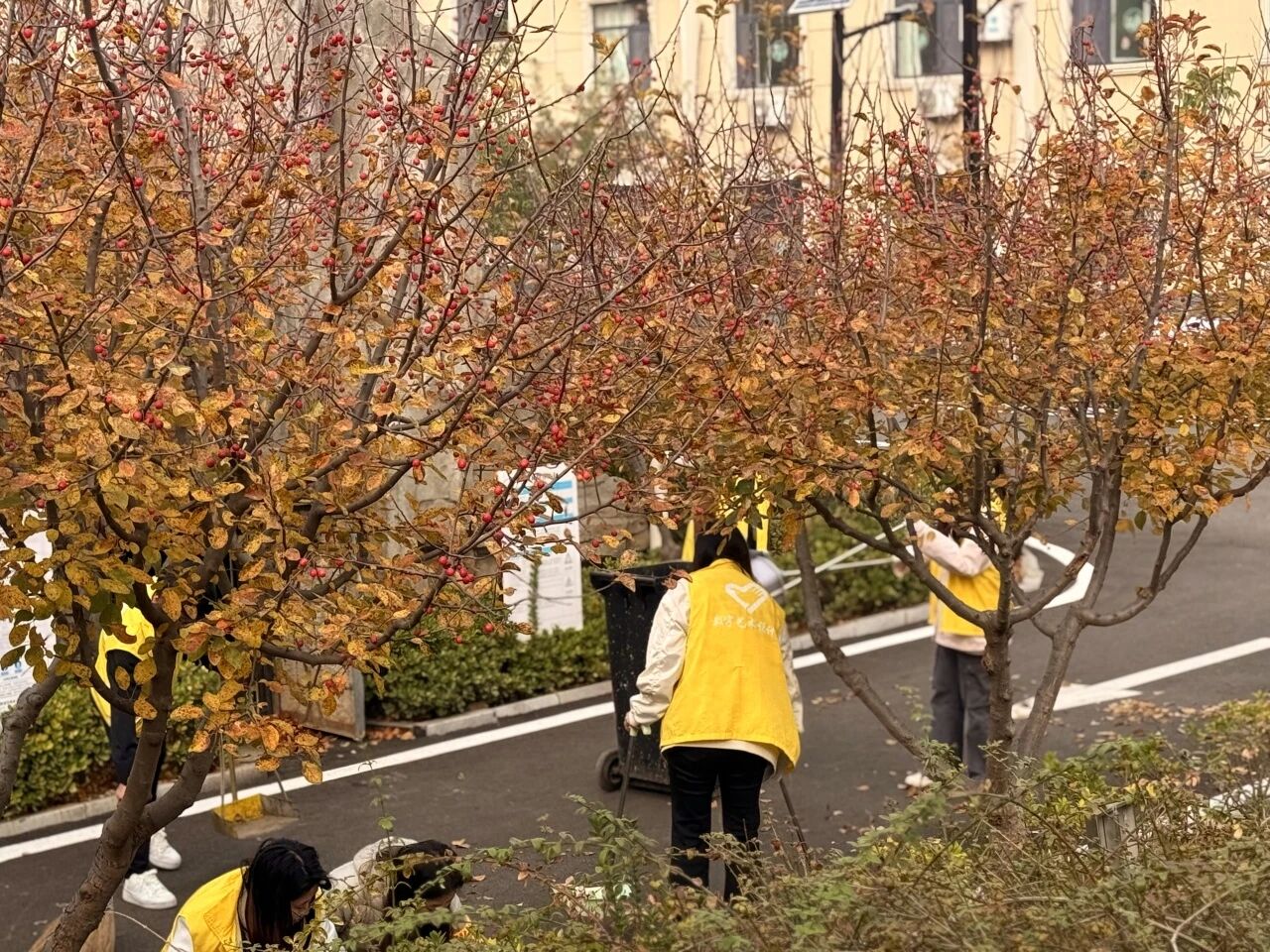 微信图片_2025-10-30_163836_280